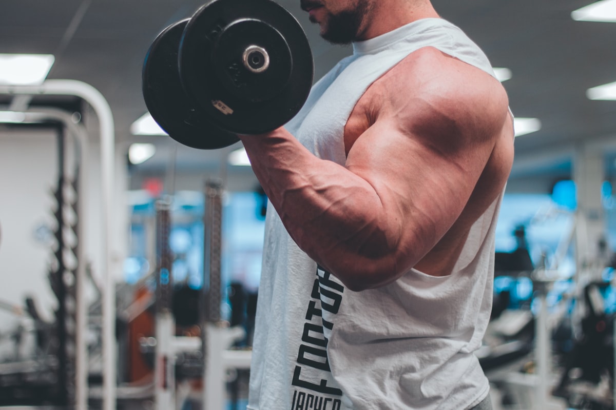 Muscle building supplements research